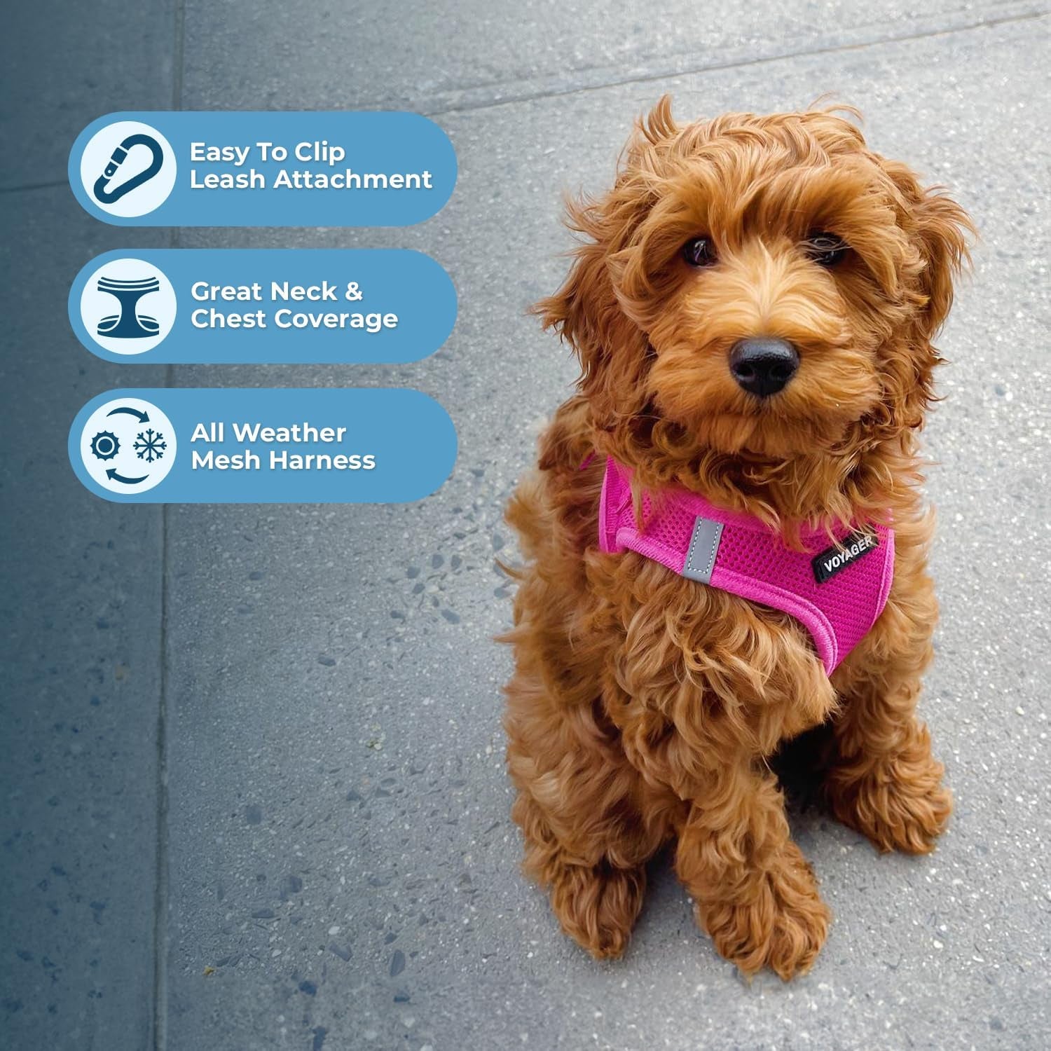 Voyager Step-In Air Dog Vest Harness - Fuchsia, Small | 14.5-16" in Chest, Reflective Bands, All Weather Breathable Air Mesh, Cats Compatible, Lightweight, Fast Drying